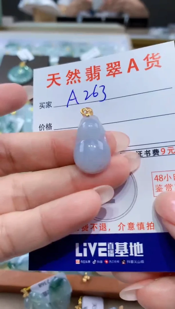 颈饰未镶嵌翡翠天然翡翠A货挂件