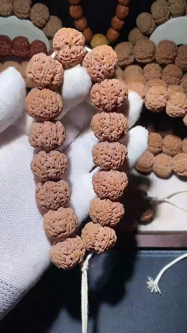 【闪购商品】金刚菩提手串矮桩粗筋双龙平头五星