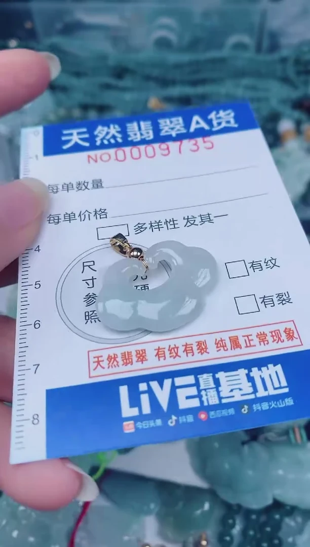 颈饰未镶嵌翡翠00009735