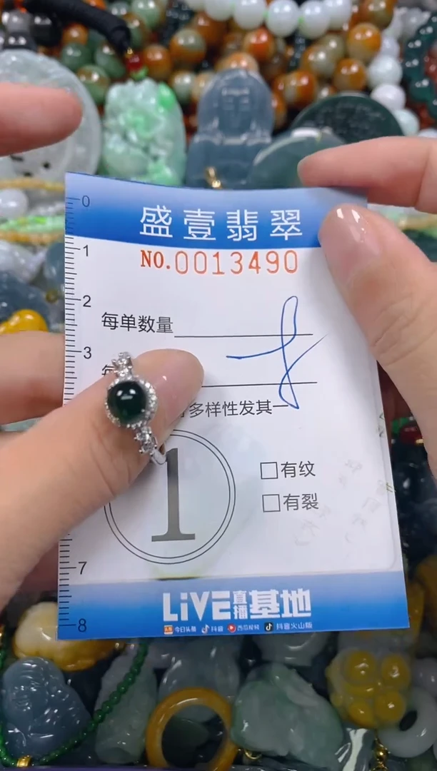 颈饰未镶嵌翡翠闪购0013490
