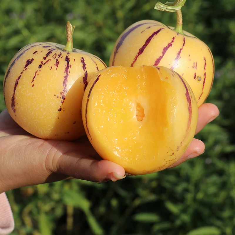 云南人参果新鲜水果清甜多汁人参果