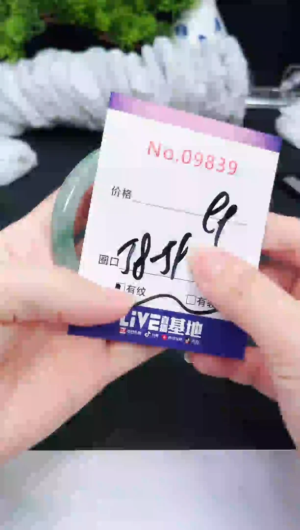 未镶嵌手镯翡翠9839