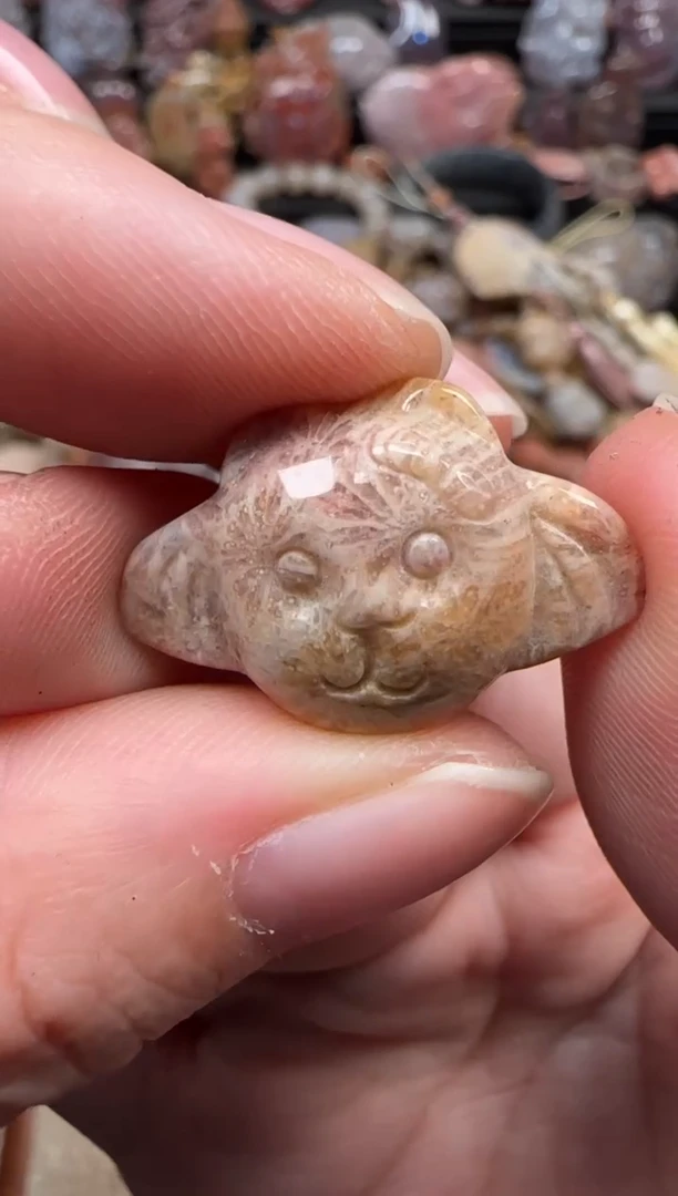 颈饰未镶嵌硅化珊瑚（珊瑚玉）536