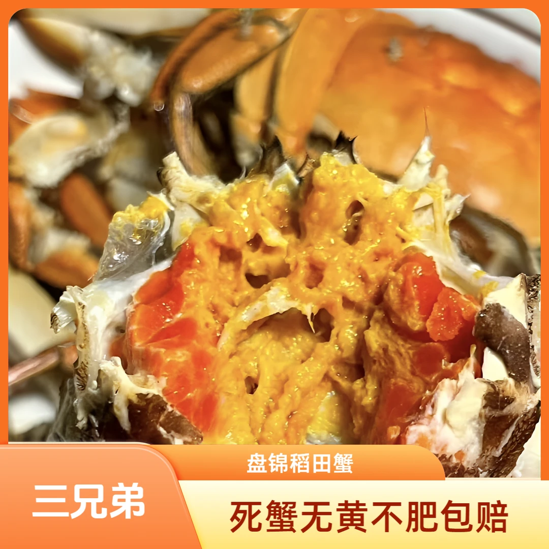 盘锦稻田蟹1-1.2两/只 2.5斤（20只-25只）母蟹 死蟹包赔