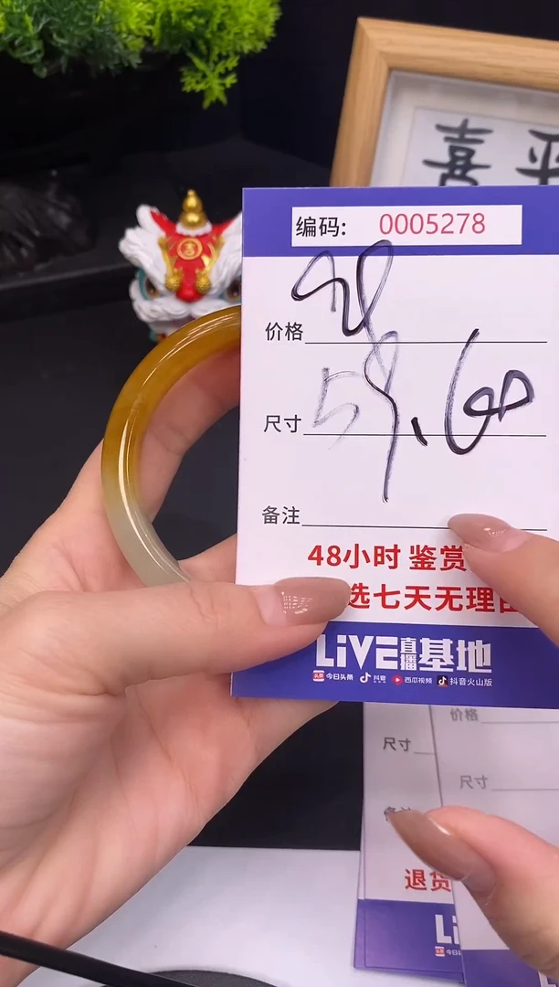 未镶嵌手镯翡翠0005278