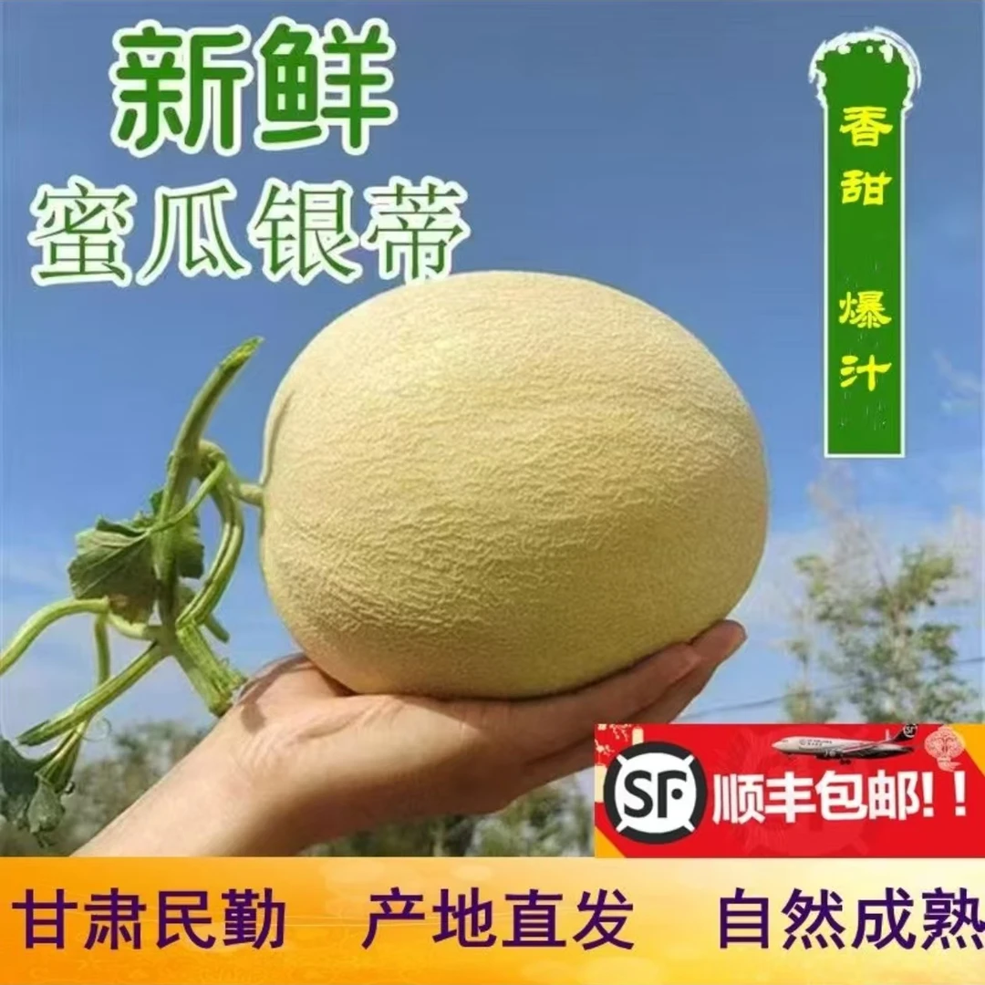 【民勤蜜瓜】甘肃民勤银帝蜜瓜 产地直发新鲜当季（顺丰）