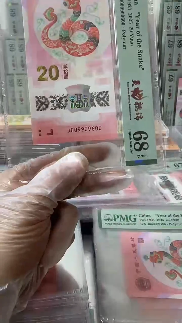 塑料009909600蛇钞单张