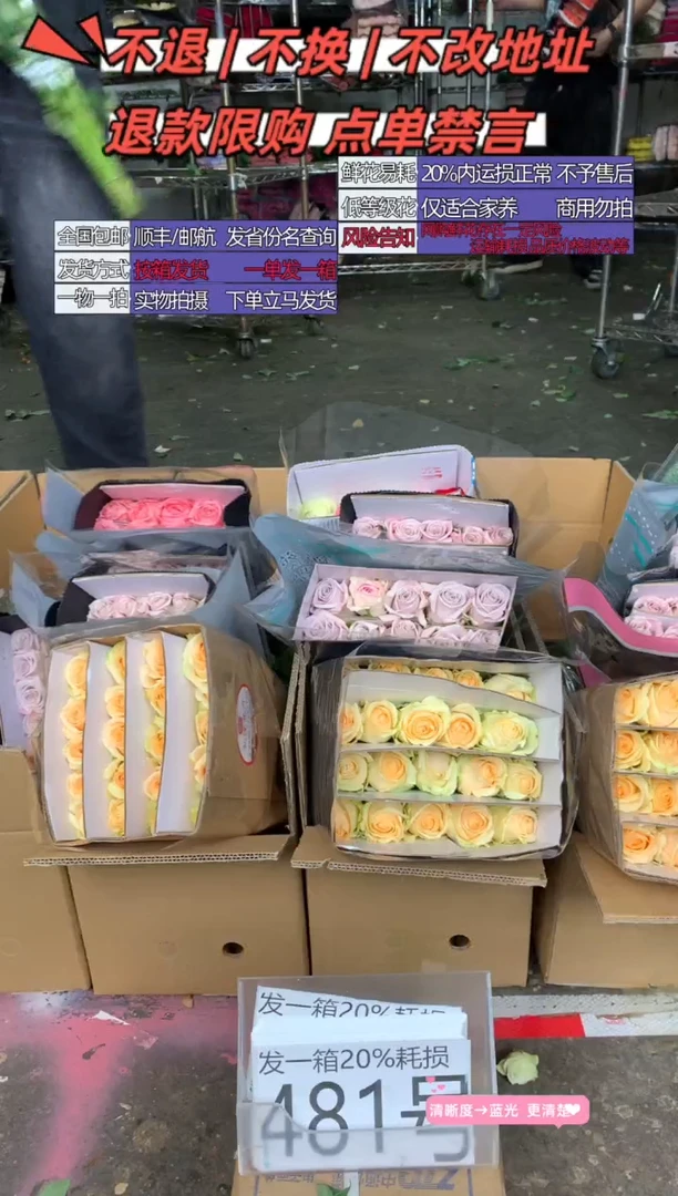 481号♥含20%耗损发一箱