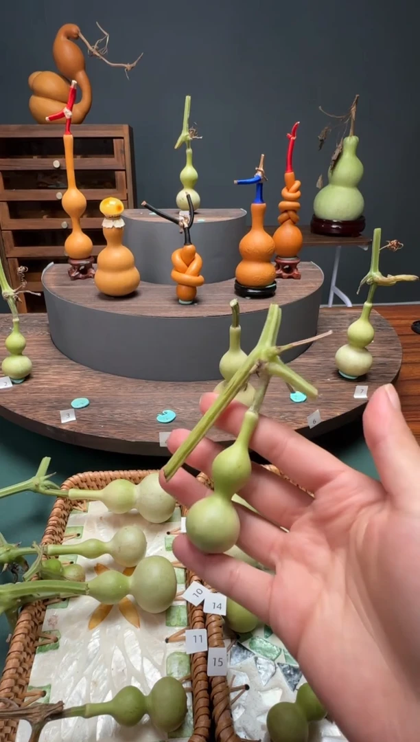 猎*文玩葫芦摆件手把件青皮天津嘴不包成