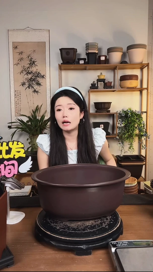 40腰圆盆 2只紫檀色