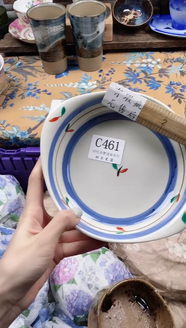 瓷片v**i                C461
