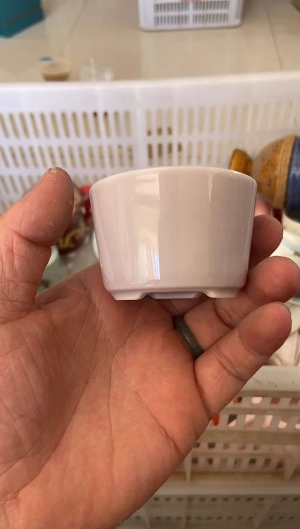 杯无运费险有瑕疵的摄影的产品有使用过的痕迹有点脏介意勿拍
