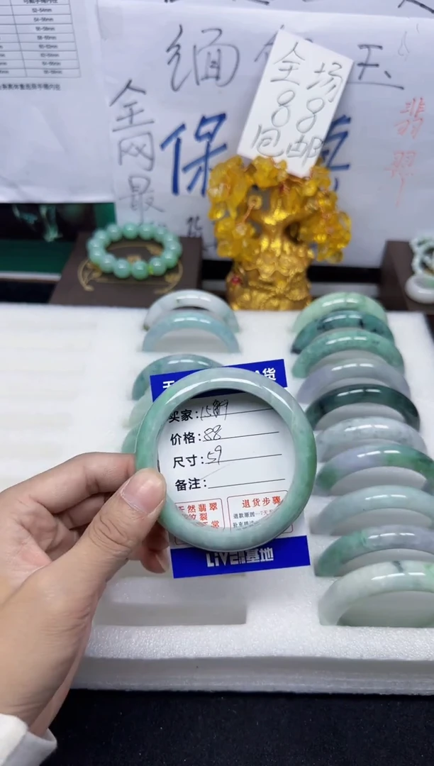 未镶嵌手镯翡翠159