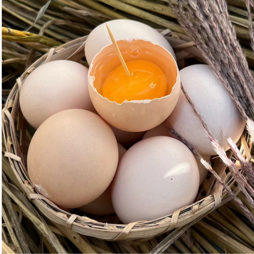 贵州散养跑山鸡鸡蛋【京东/顺丰】包邮