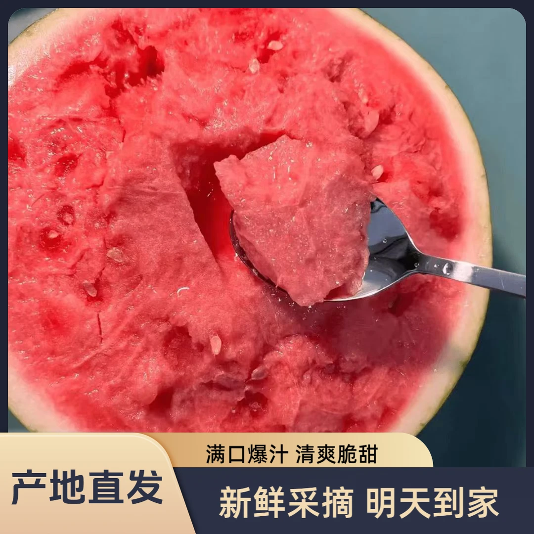 【明天到】头茬无籽麒麟西瓜当季现采现摘 新鲜达2000g-4500g云南省