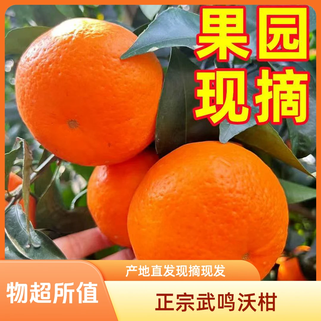 广西沃柑产地直发新鲜应季水果柑橘桔子5斤带箱