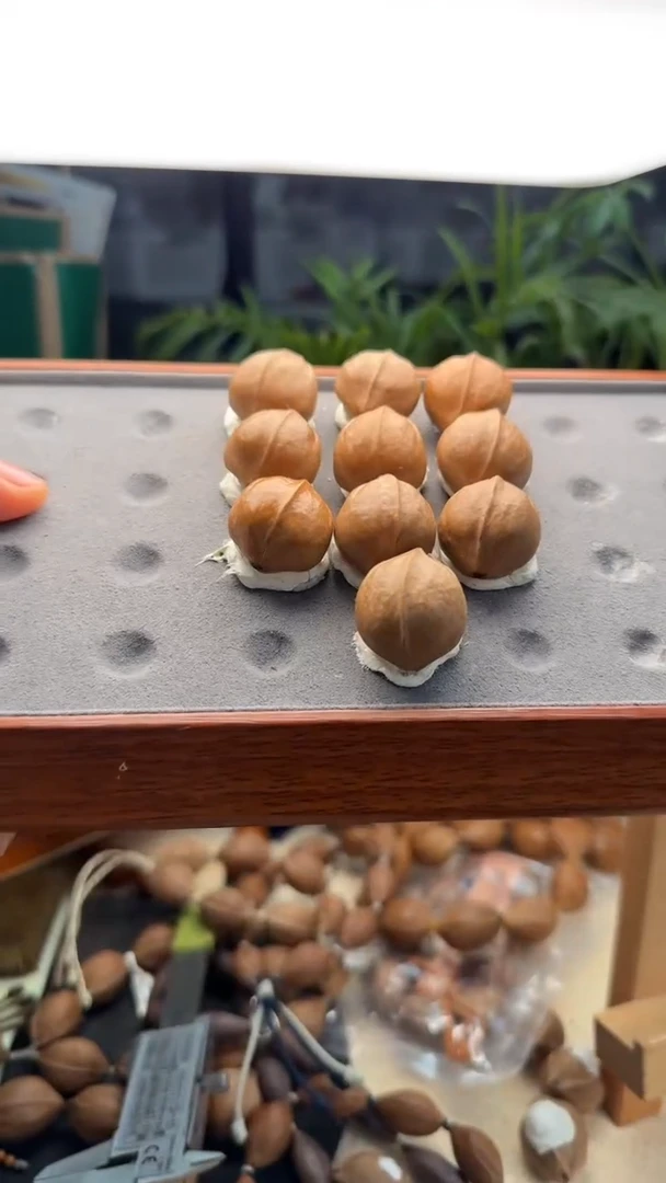 【闪购商品】橄榄核手串/手链橄榄核2.1*2.7原生态梅林铁核