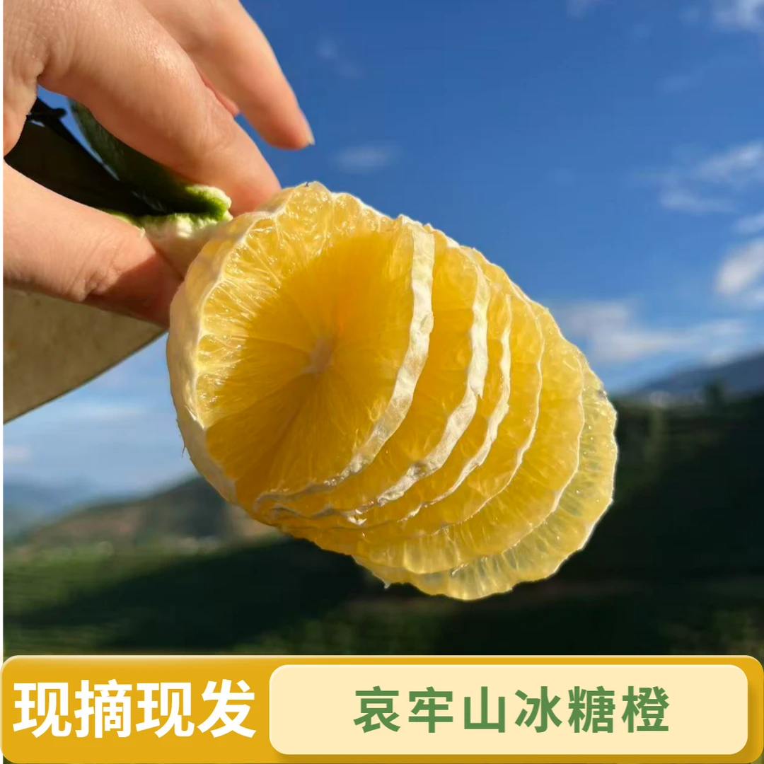有才-云南哀牢山青皮冰糖橙新鲜应季水果现摘现发清甜多汁