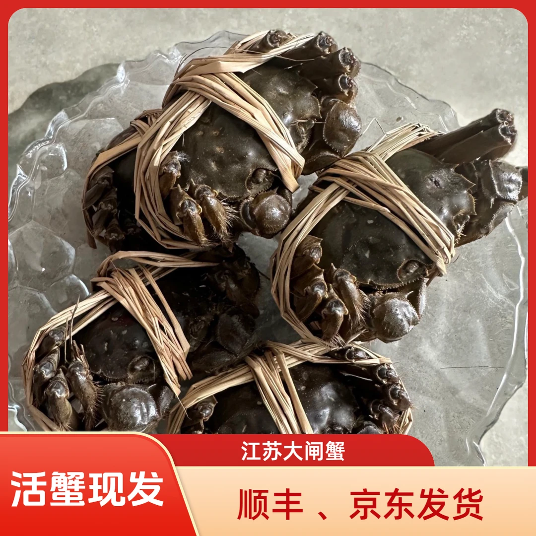 江苏大闸蟹【全母8只送2只】河蟹2.1-1.7两礼盒装发顺丰京东