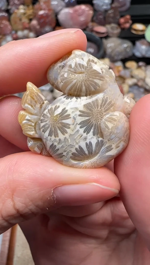颈饰未镶嵌硅化珊瑚（珊瑚玉）608