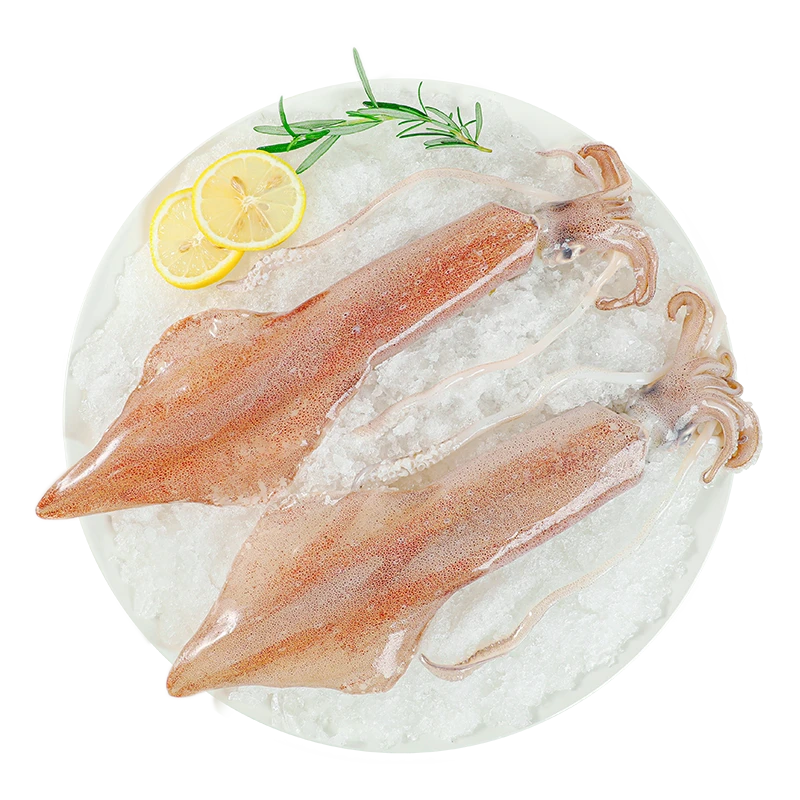 本港灯捕特大鱿鱼火箭筒500g±10g（2-3条）