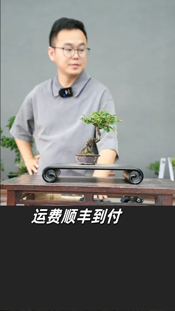 无花朵80