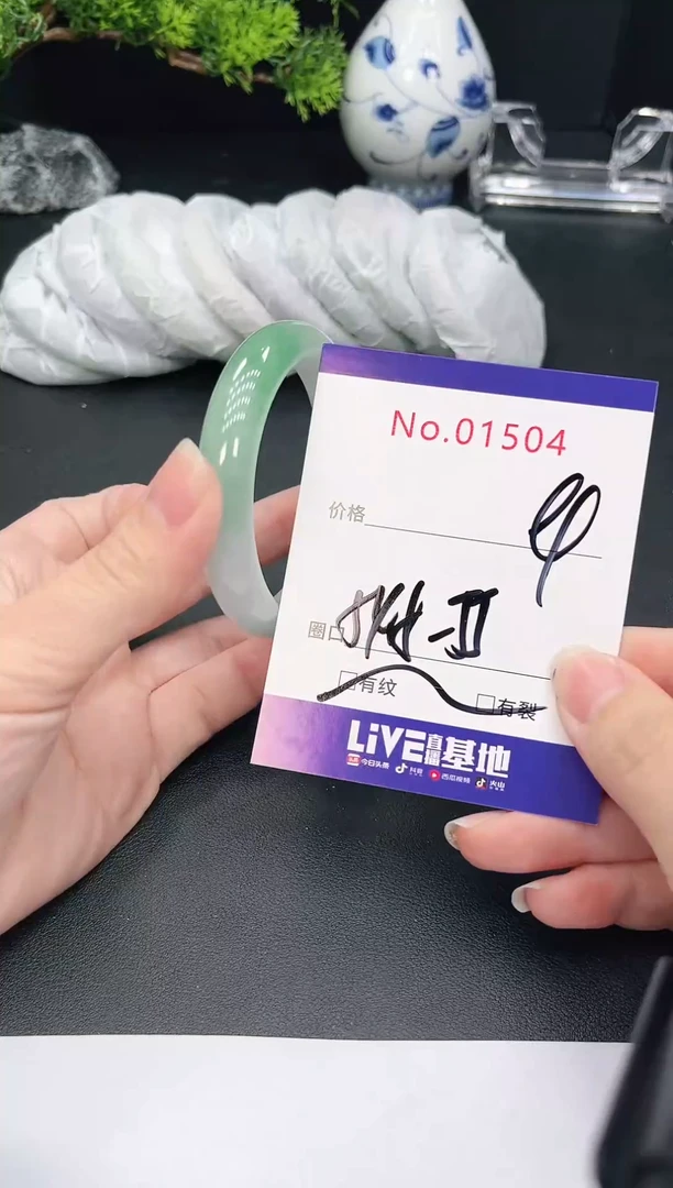 未镶嵌手镯翡翠1504