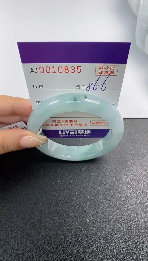 未镶嵌手镯翡翠天然A货翡翠