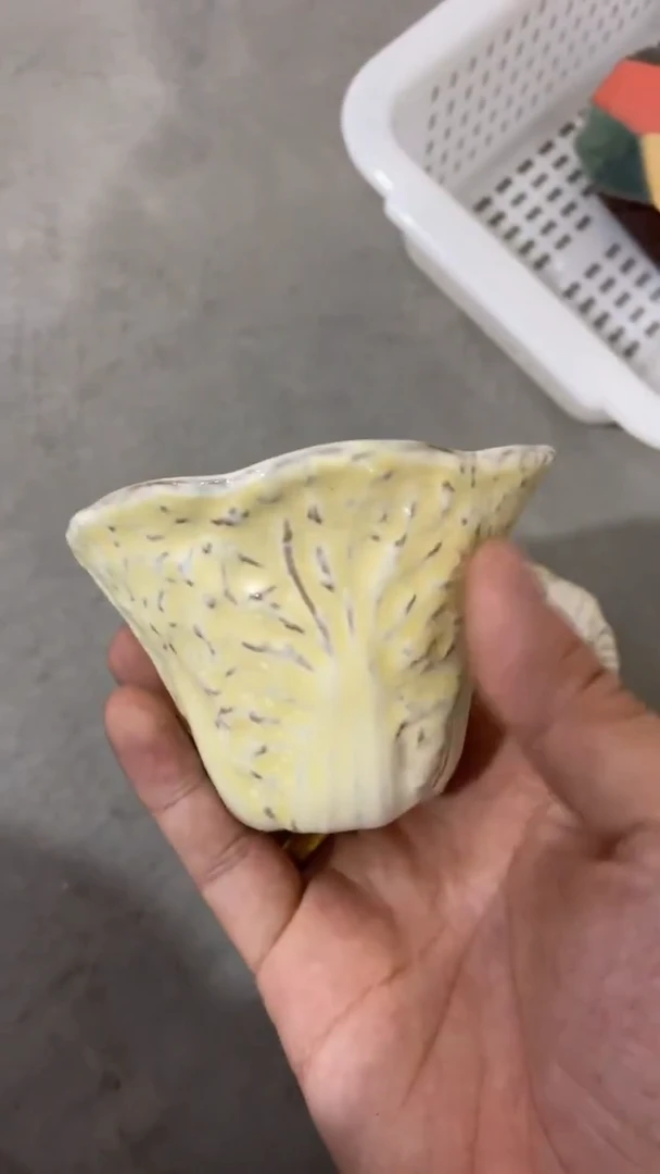 瓷片T527陶瓷茶具茶器