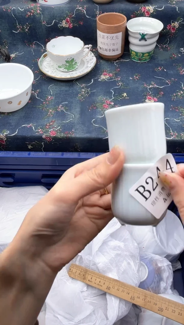 瓷片          B244