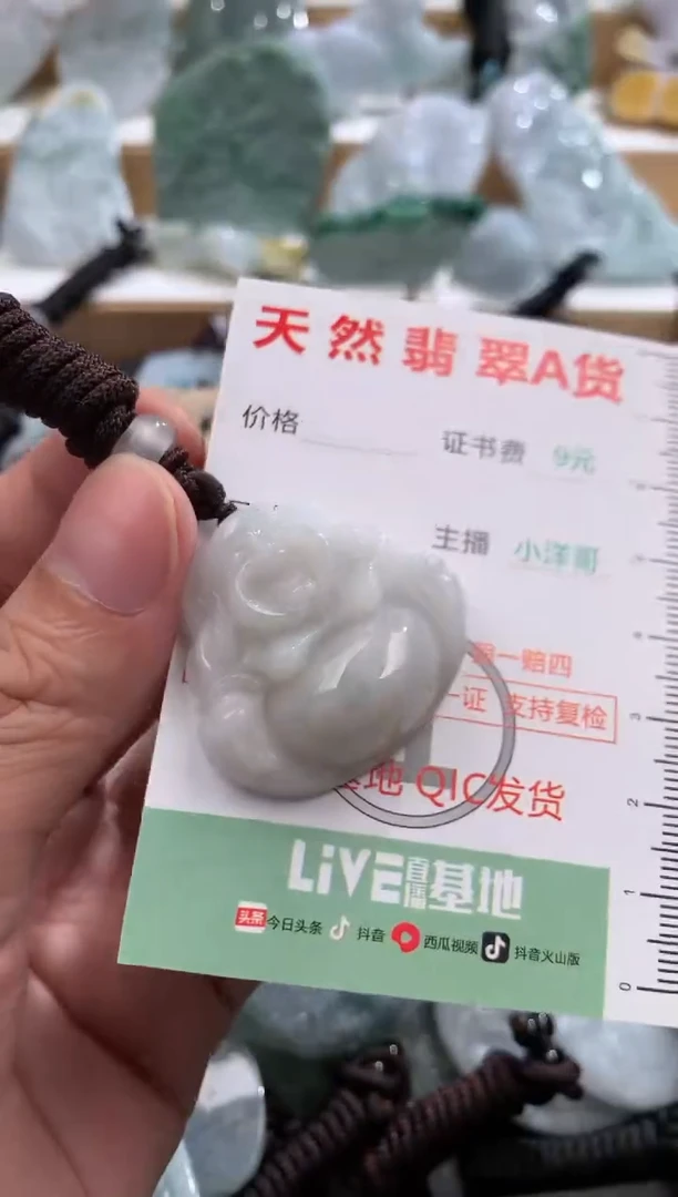 吊坠(不含链)未镶嵌翡翠1