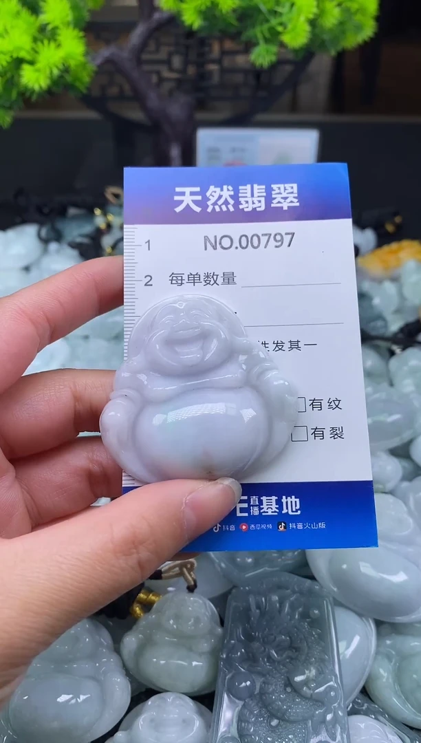 未镶嵌挂件翡翠天然缅甸翡翠797
