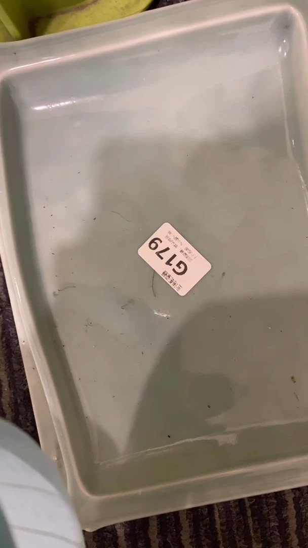 其他一回流瓷器默认微瑕，谨慎勿拍G179