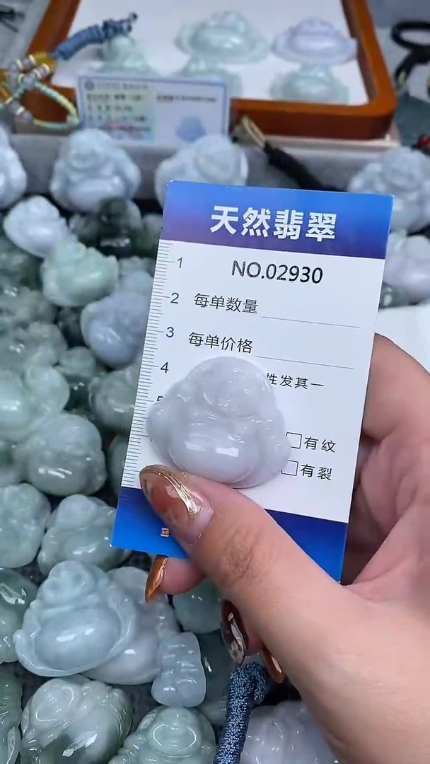 颈饰未镶嵌翡翠纯天然A货翡翠2930