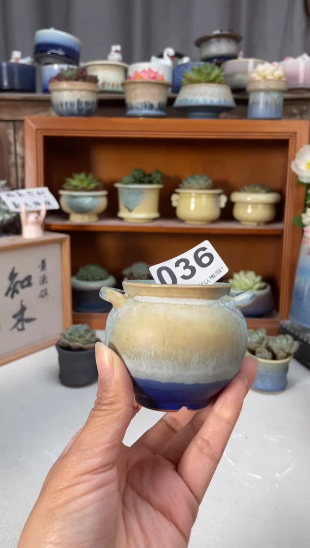 瓷片036知木小芳花盆