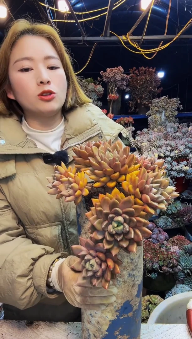 商****坊6号一物一拍脱土商城