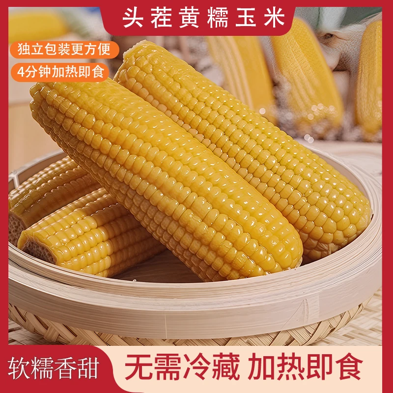 头茬黄糯玉米独立真空包装软糯粗粮早餐粘玉米甜糯玉米真空玉米段