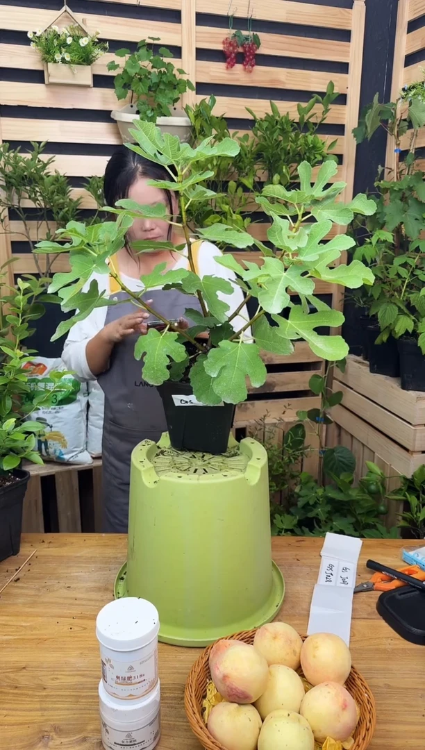 路*一物一拍 金傲芬 2.8L GSJ026