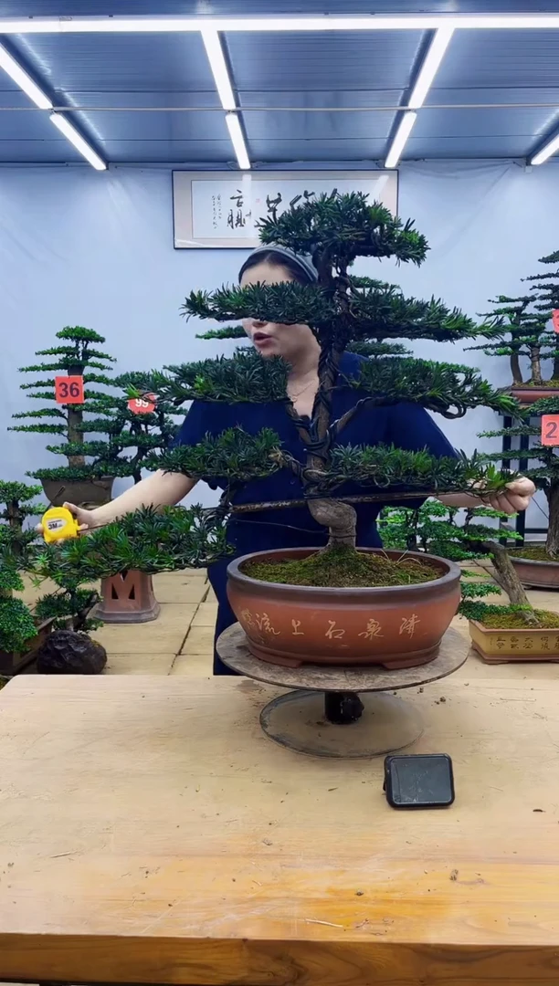 无花朵一物一拍，所见即所得