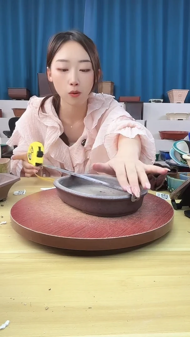 紫砂花盆花盆浅草紫砂花盆