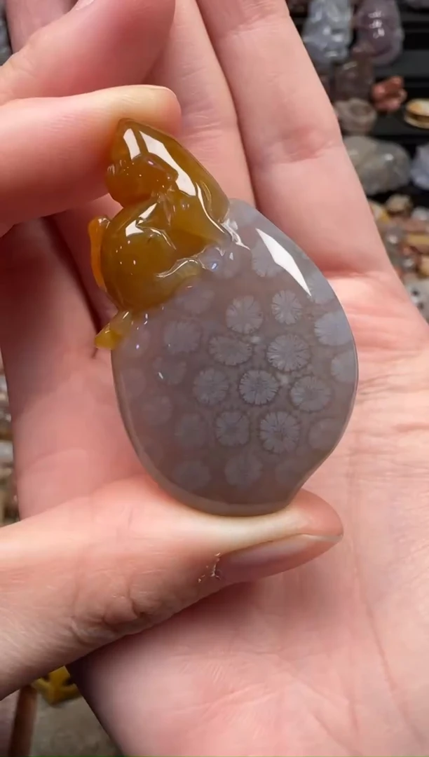 颈饰未镶嵌硅化珊瑚（珊瑚玉）558