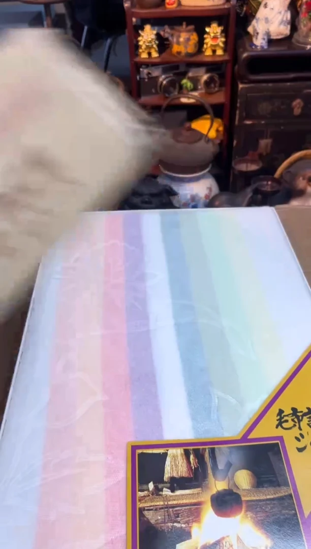 s***n同言瓷器海外甄选473