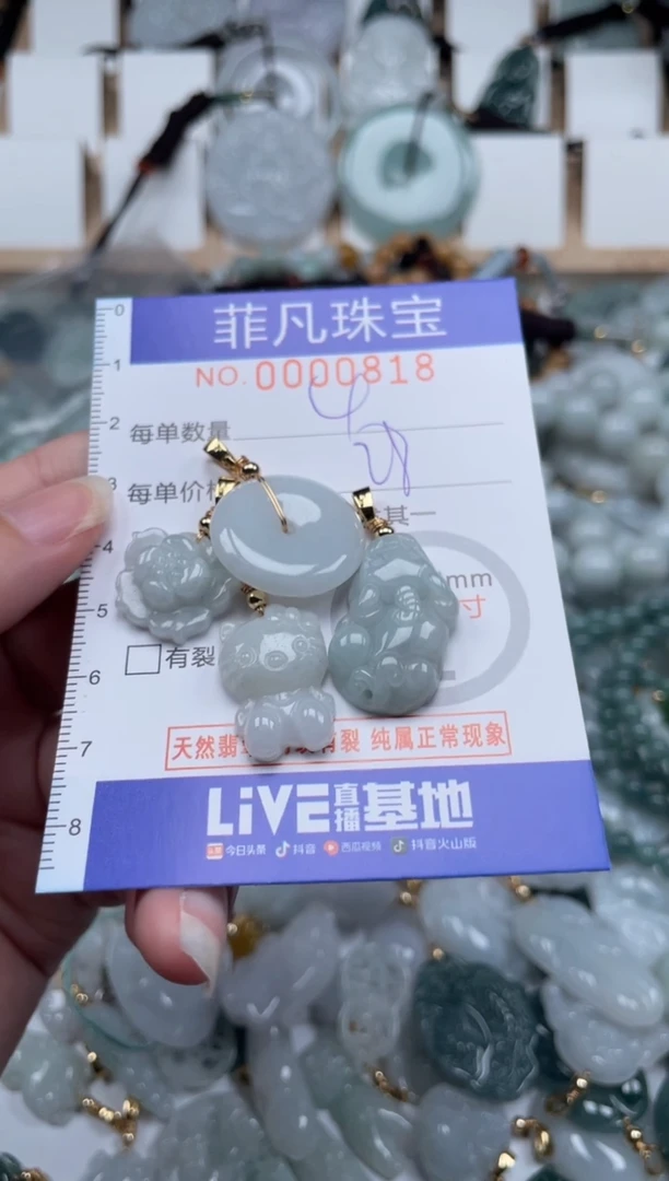 翡翠未镶嵌颈饰00..0818