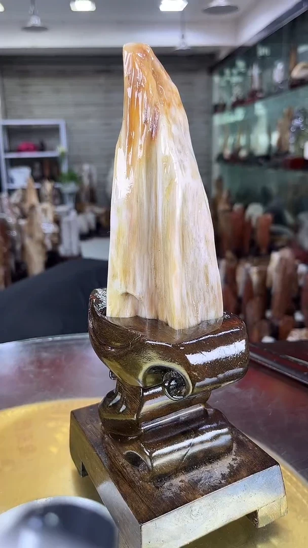 硅化玉珠宝奇石未镶嵌缅甸天然树化玉摆件
