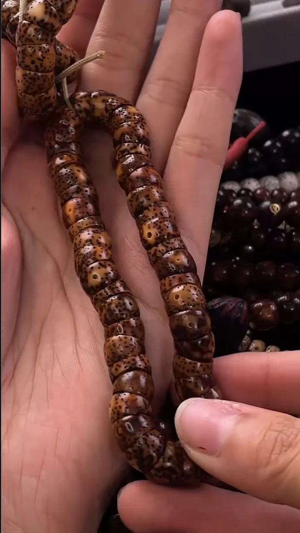 手串星月菩提精工级中珀桶形大肠10*7手持（B）
