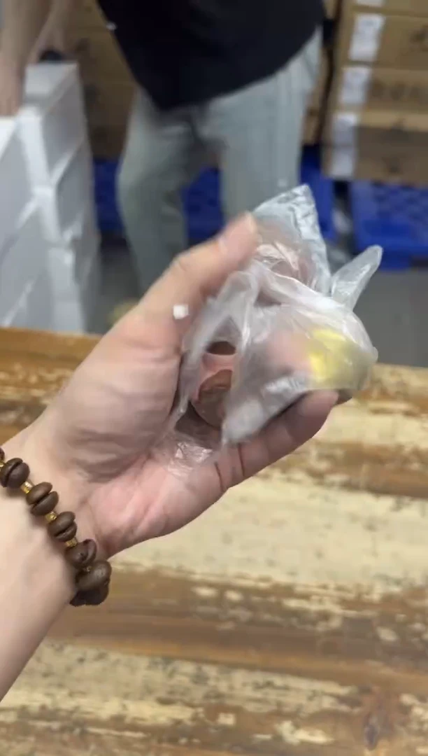 瓷片【闪购商品】------