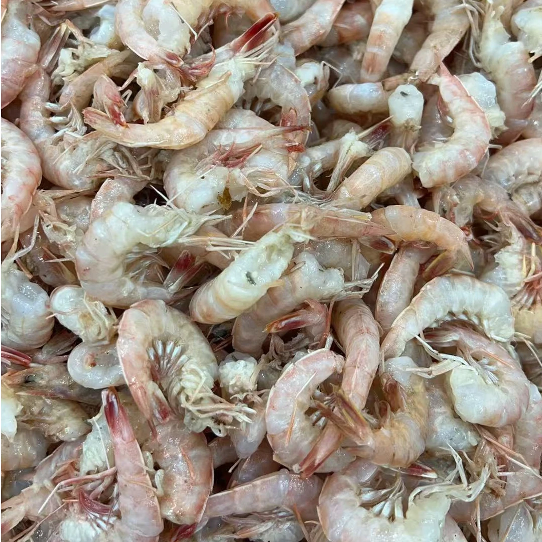 【本地铁皮虾】新鲜去头铁壳虾部分软皮海味浓郁不能煮着吃