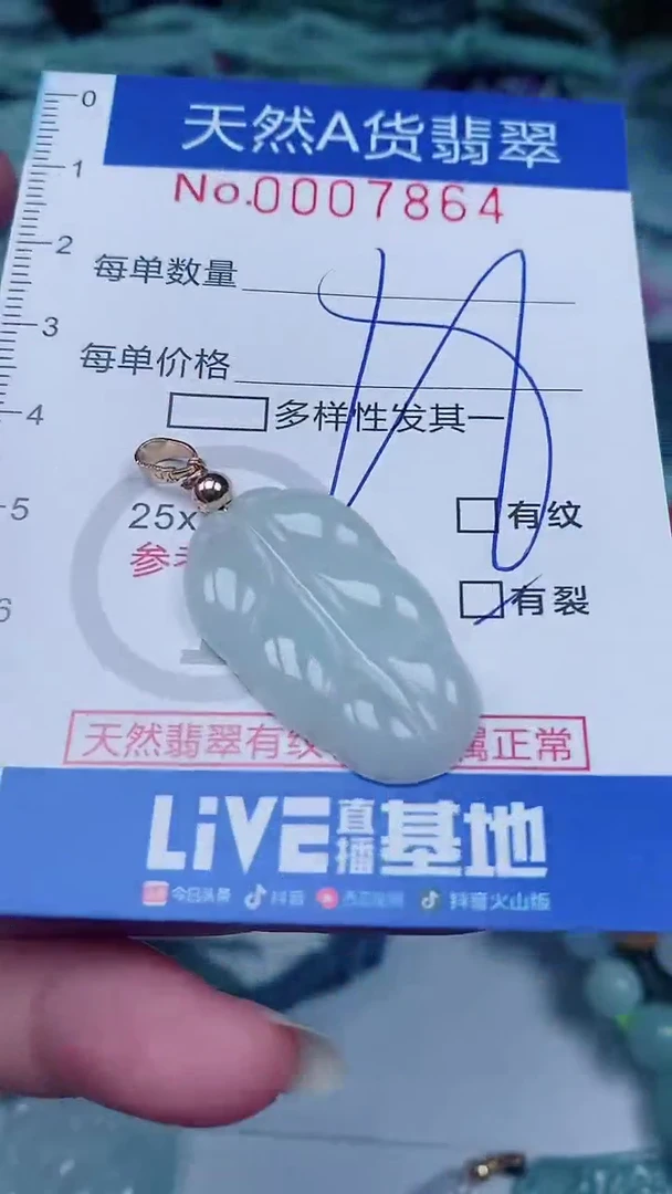 翡翠未镶嵌颈饰00007864