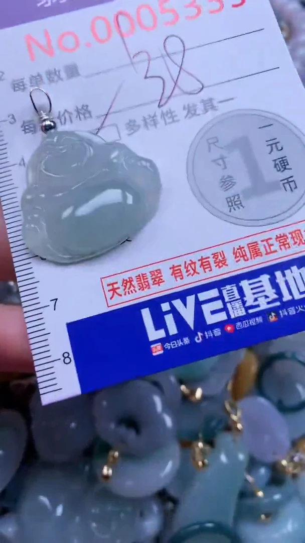 翡翠未镶嵌吊坠(不含链)5335多样性发其一