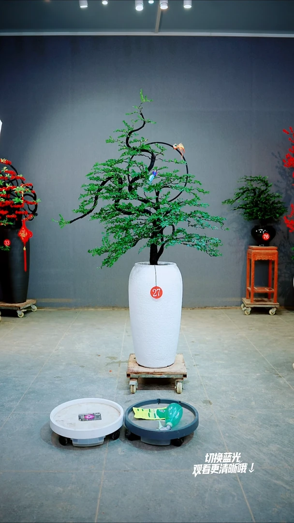 以实际为准?****渝一物一拍绿植27号